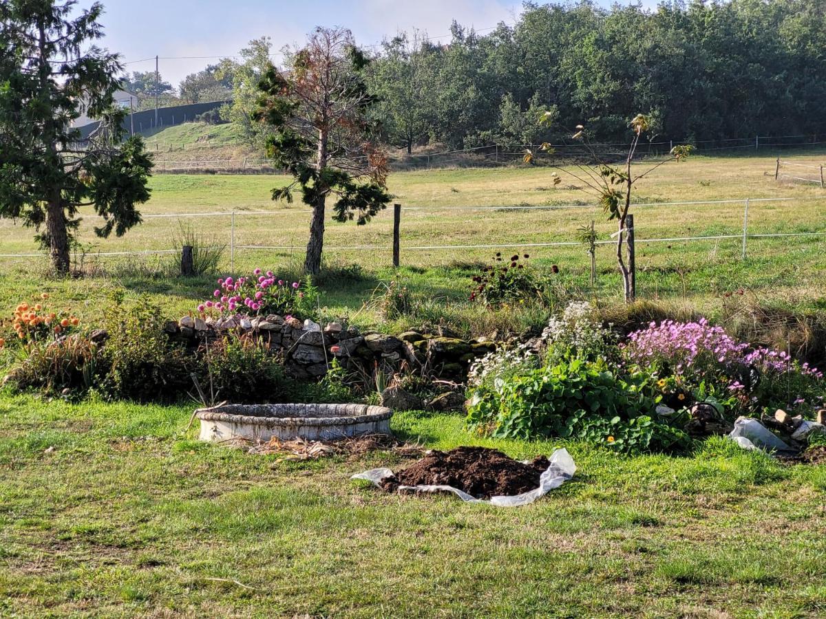 Ferme De La Combe Bed & Breakfast Saint-Jeure-d'Ay Exterior photo